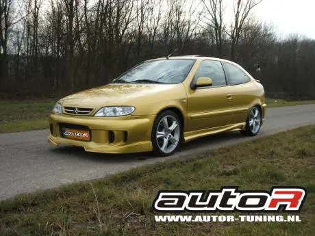 Citron Xsara 97-00 3D Sideskirts Lost Boy [Autor] 1