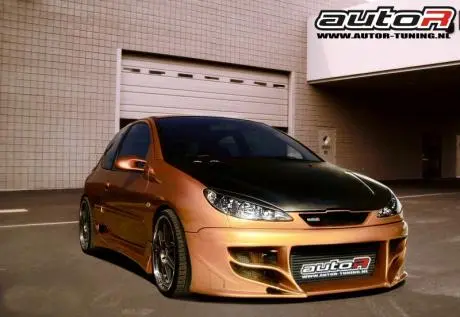 Peugeot 206 98-03 3D Frontbumper Hunter [Autor] 1