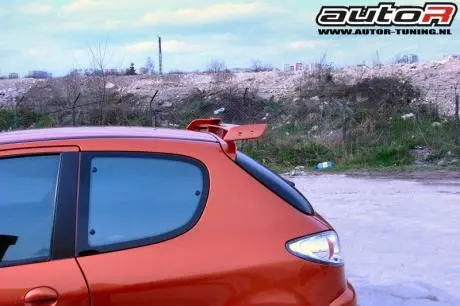 Peugeot 206 98-03 3D Spoiler Miniwing [Autor] 1