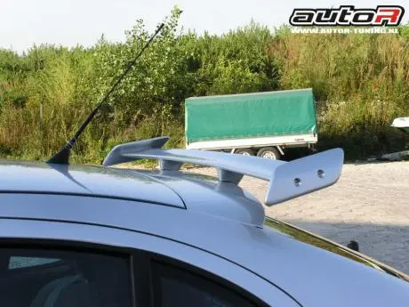 Seat Leon 99+ Spoiler Miniwing [Autor] 1