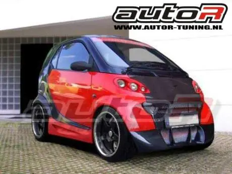 Smart Version I 98-03 Frontspoiler Ant  [Autor] 1
