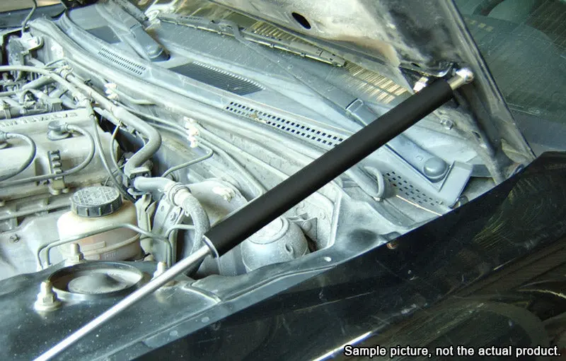 Honda S2000 00-04 Bolt-On Hood Dampers [Six] 1