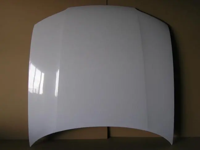 Nissan Skyline R33 Gts Spec I Hood Lightweight-Oem [Autor] 1
