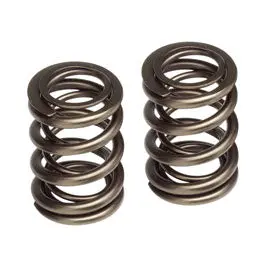 Honda K20/K24/F20c/F22c Alpha Series Valve Springs Skunk2 1