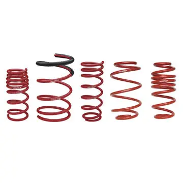 Honda Integra Dc5 02-04 Lowering Springs 5/6Cm Skunk2 1