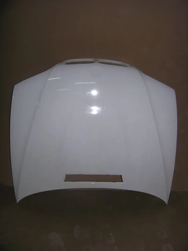 Bmw 3 E46 M3 Hood Lightweight-Oem [Autor] 1