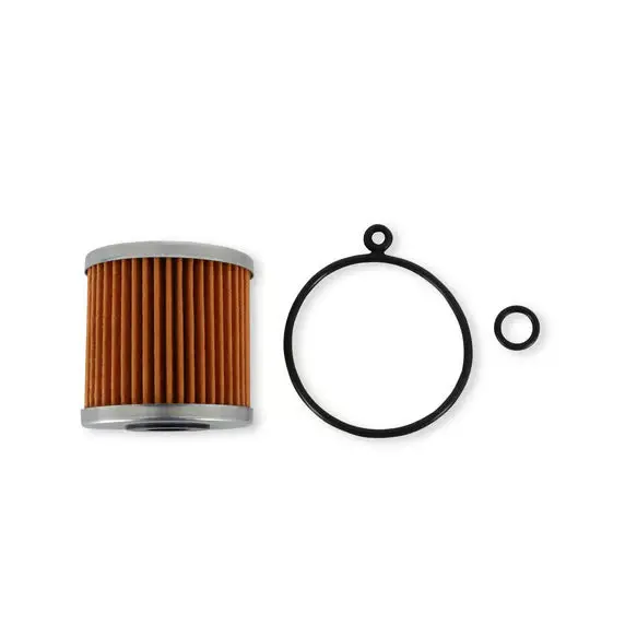 Aem Gauge Fuel Filter Element,Honda/Acur 1