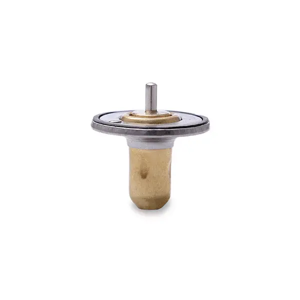 Chevrolet Corvette C7 14-19 Thermostat V1 Mishimoto 1